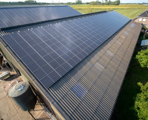 démoussage des panneaux solaires par drone