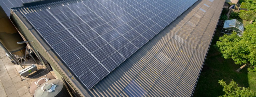 démoussage des panneaux solaires par drone