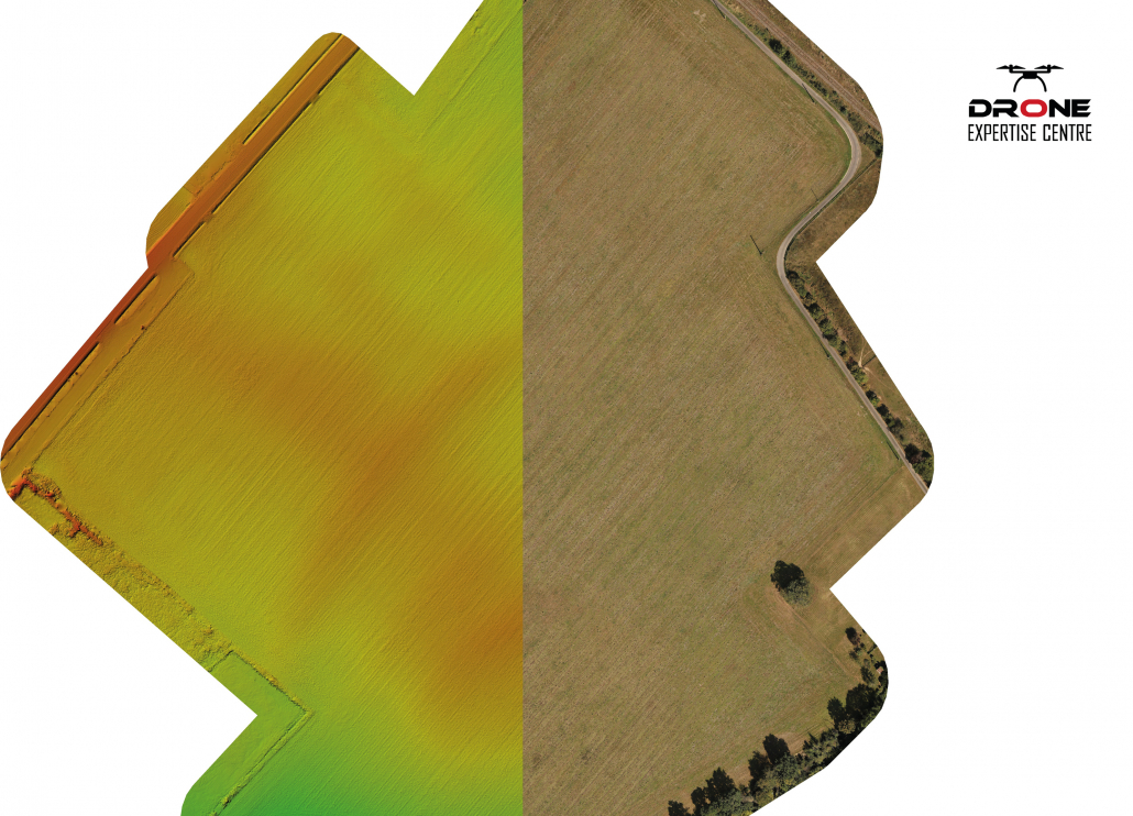 Modélisation topographique issue de l’archéologie lidar avec représentation en couleurs