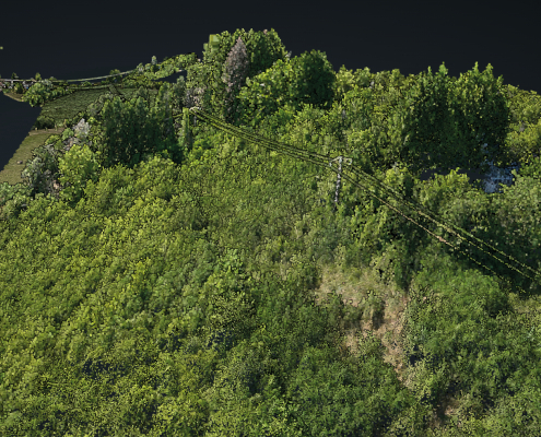 Mission drone LiDAR en Lorraine pour l'étude topographique des milieux naturels Mission drone LiDAR en Lorraine permettant l'observation détaillée du relief sous végétation