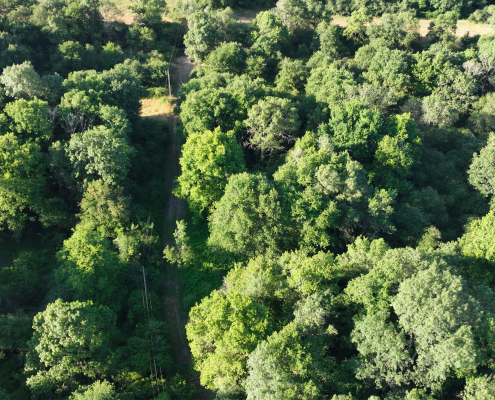 Mission drone LiDAR en Centre Val de Loire permettant la mesure de la hauteur de végétation