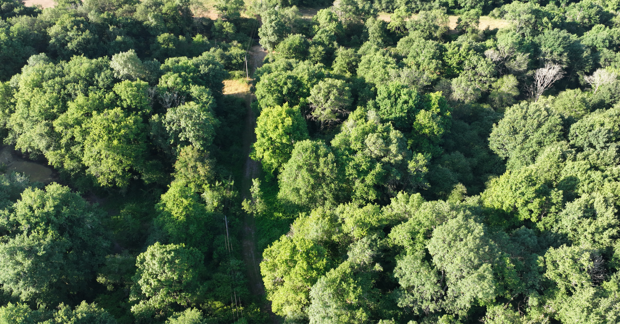 Mission drone LiDAR en Centre Val de Loire permettant la mesure de la hauteur de végétation