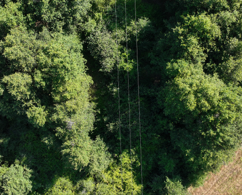 Mission LiDAR drone pour le suivi des infrastructures linéaires Mission LiDAR drone permettant la détection des emprises végétalisées en Pays de la Loire