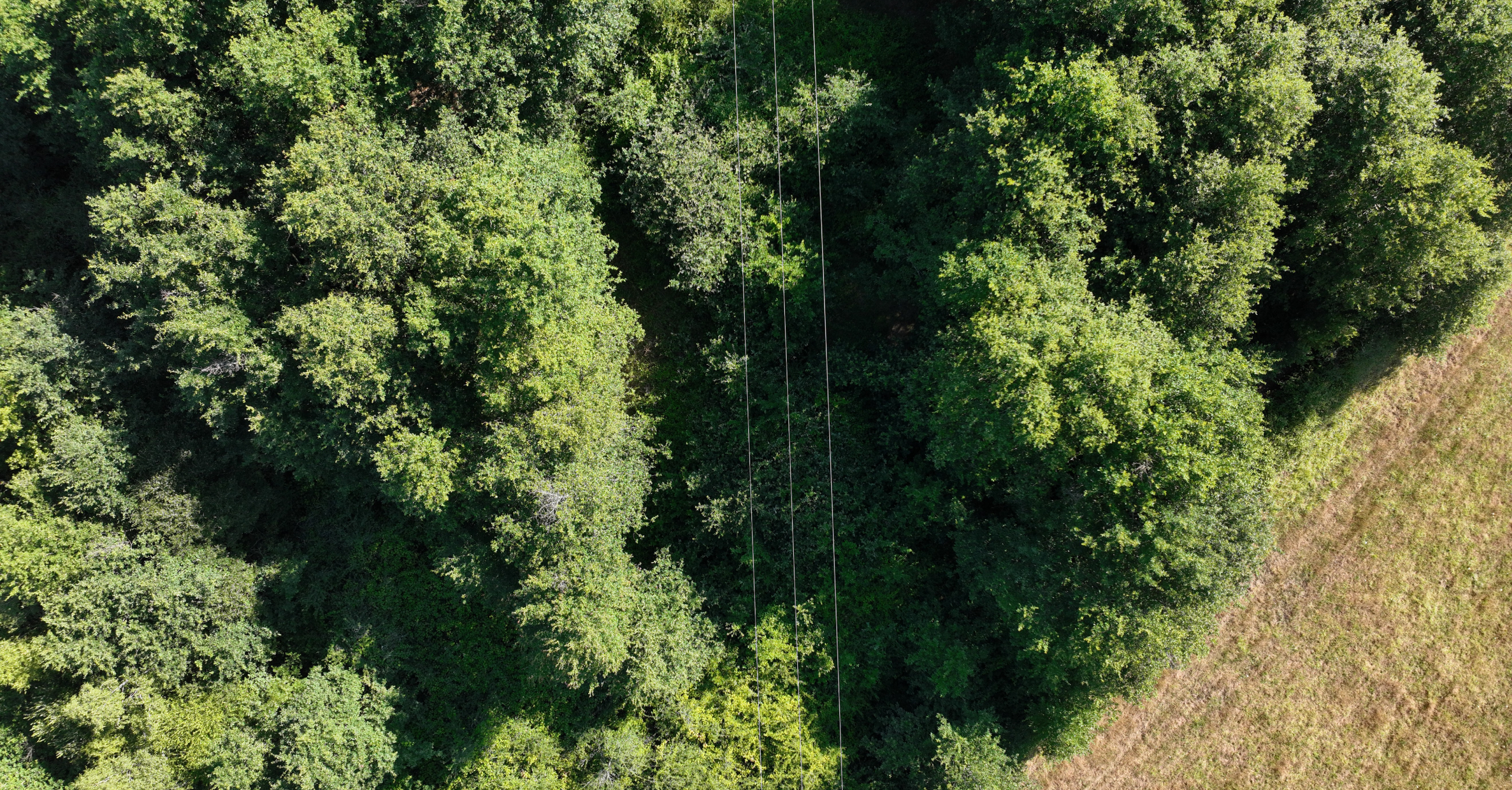 Mission LiDAR drone pour le suivi des infrastructures linéaires Mission LiDAR drone permettant la détection des emprises végétalisées en Pays de la Loire