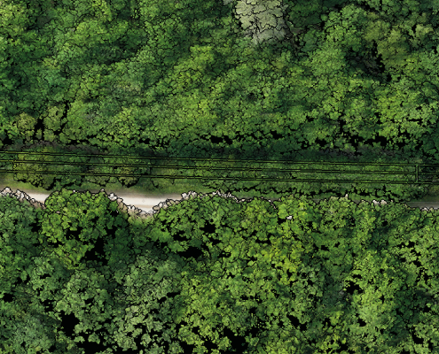 Mission drone LiDAR en Centre Val de Loire pour l'observation détaillée d'un environnement boisé