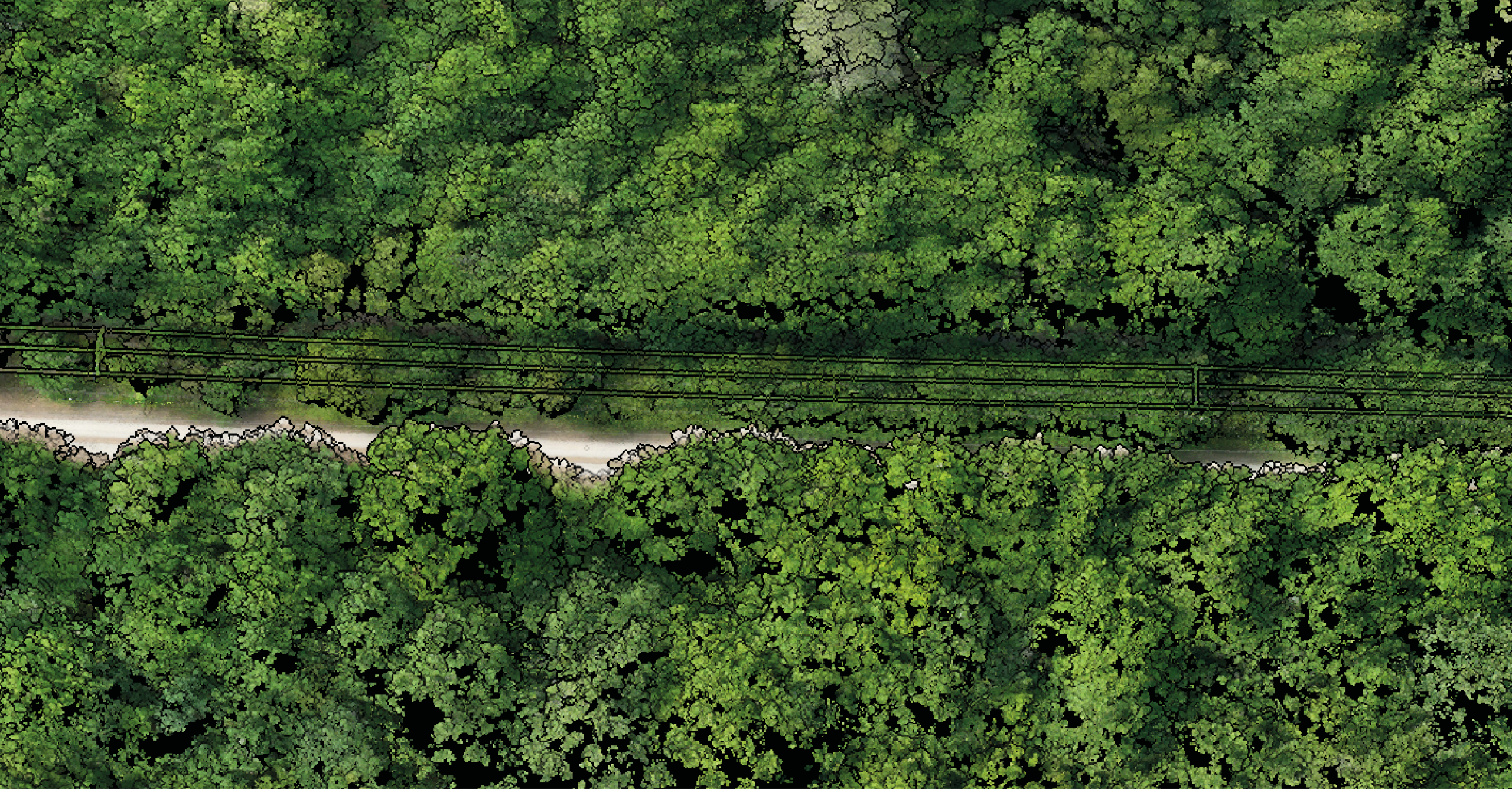 Mission drone LiDAR en Centre Val de Loire pour l'observation détaillée d'un environnement boisé