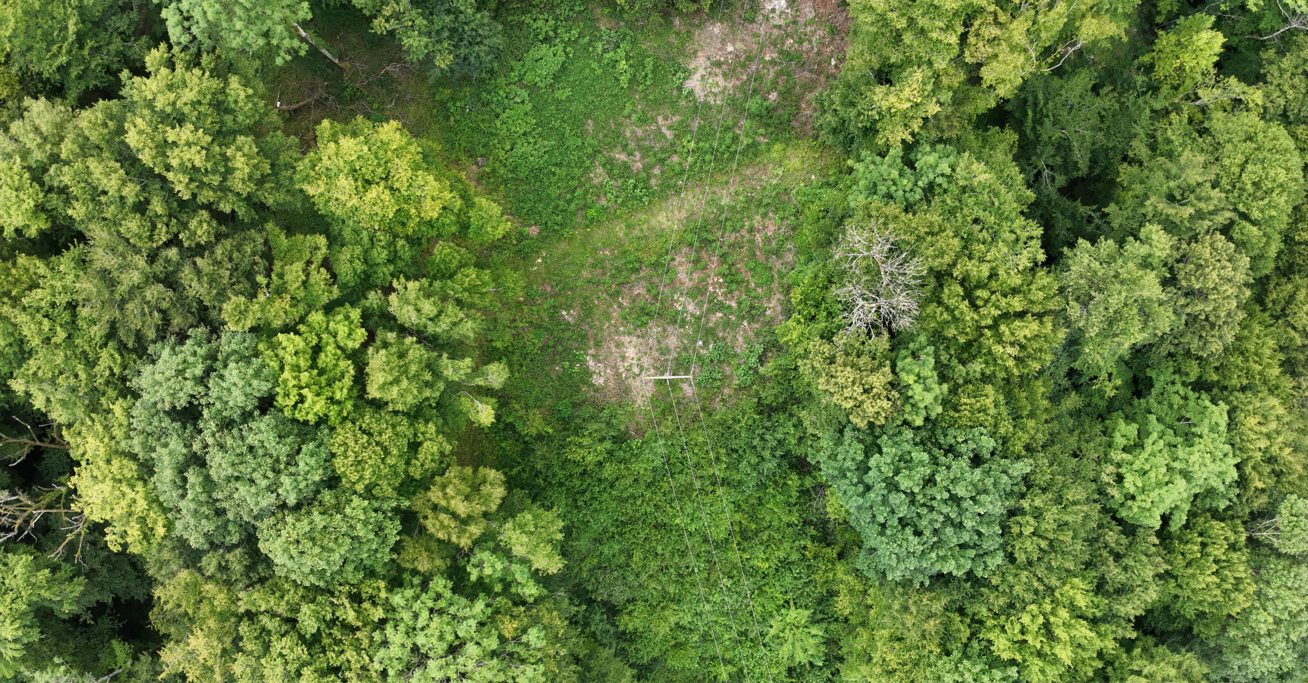 Mission drone LiDAR en Champagne Ardennes pour les réseaux de circulation Relevé LiDAR d'un chemin rural effectué en Champagne Ardennes