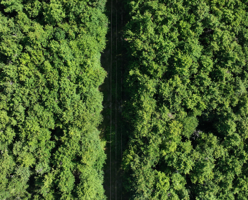 Mission drone LiDAR en Centre Val de Loire avec restitution précise d'un passage traversant la forêt
