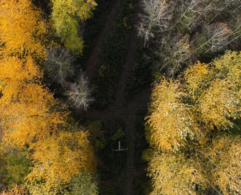 Étude des interactions entre végétation et réseaux par LiDAR drone dans le Nord Pas-de-Calais Numérisation HTA et BT par LiDAR drone dans le Nord Pas-de-Calais permettant l'analyse de la végétation dense