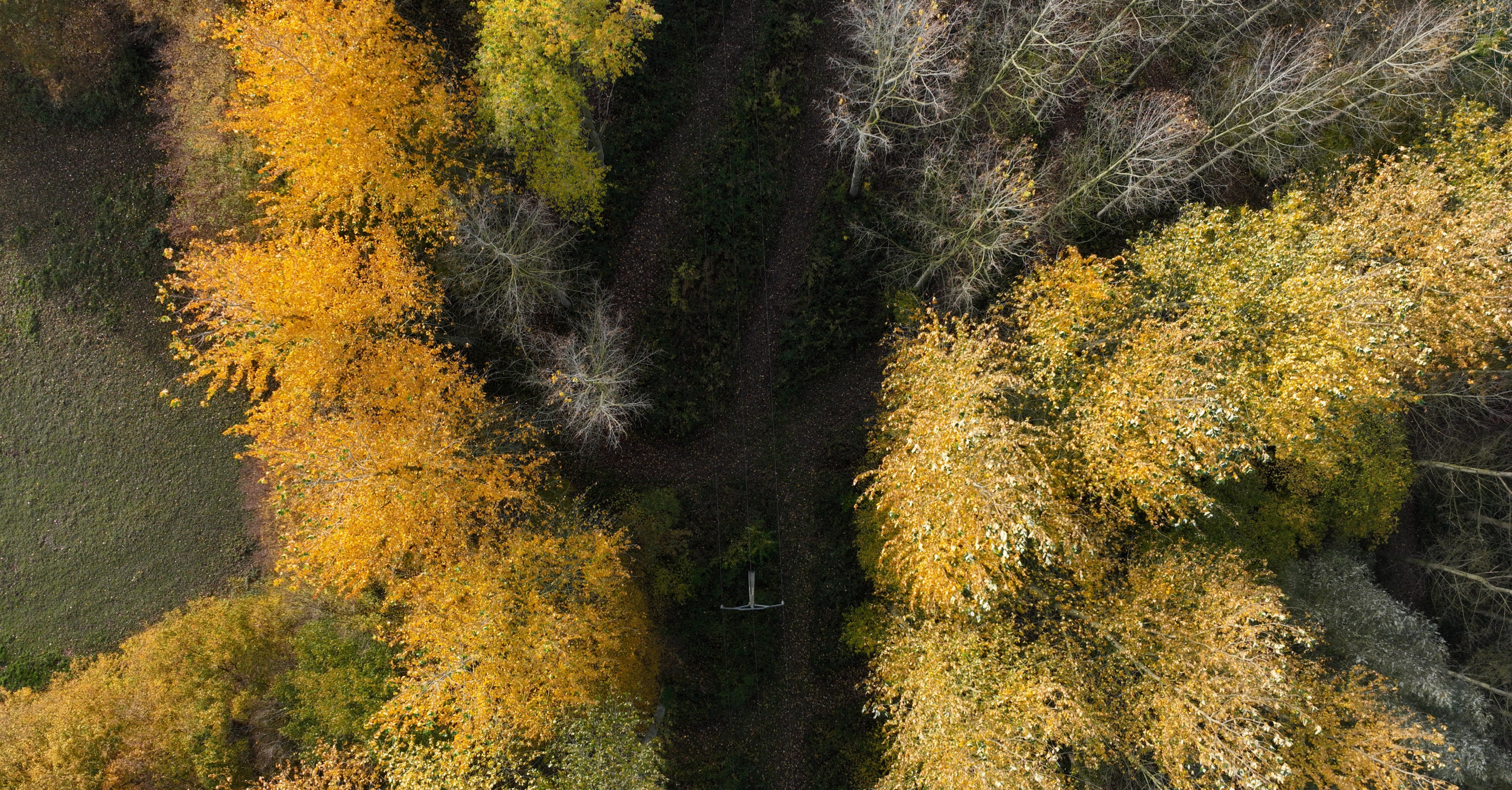 Étude des interactions entre végétation et réseaux par LiDAR drone dans le Nord Pas-de-Calais Numérisation HTA et BT par LiDAR drone dans le Nord Pas-de-Calais permettant l'analyse de la végétation dense