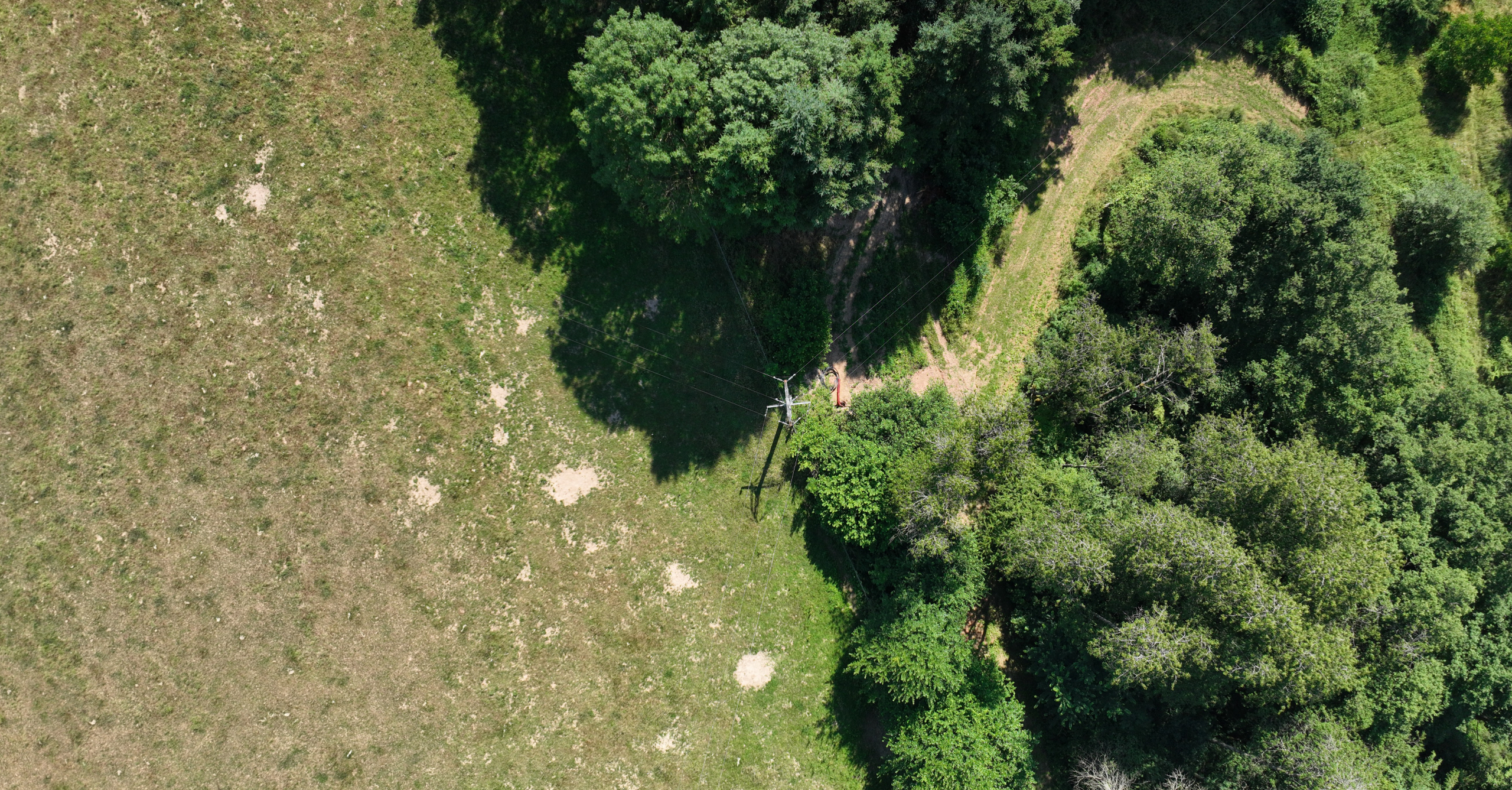 Mission drone LiDAR en Lorraine avec relevé topographique d'une zone boisée Mission drone LiDAR en Lorraine pour la cartographie d'un corridor végétalisé et de ses reliefs