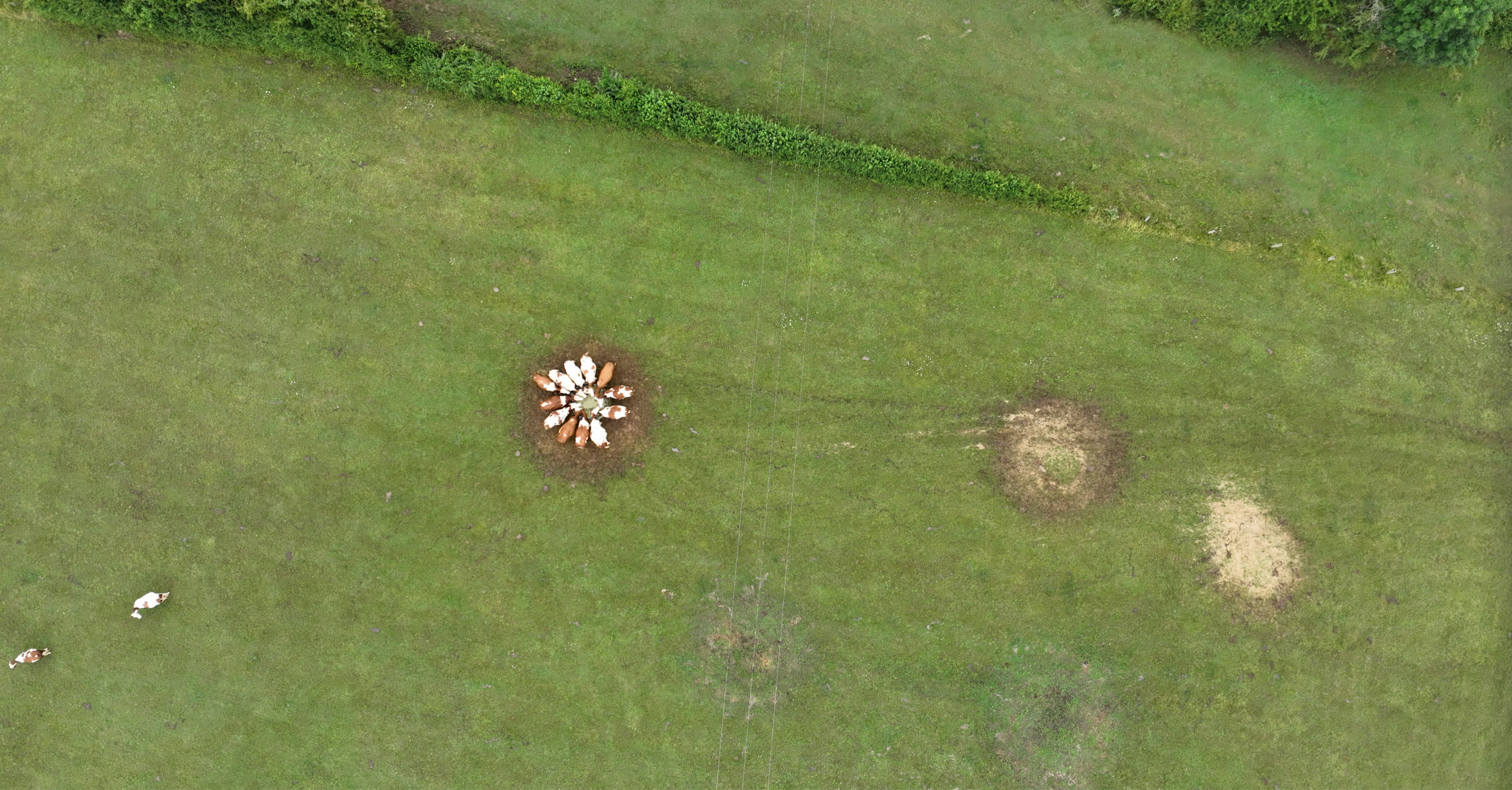 Mission drone LiDAR en Champagne Ardennes pour l'analyse agricole Vue aérienne d'une parcelle cartographiée lors d'une mission drone LiDAR en Champagne Ardennes
