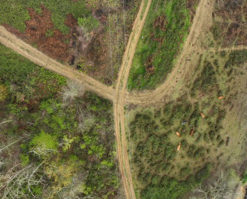 Vue aérienne d'un tracé électrique inspecté par drone LiDAR dans les Pyrénées Mission LiDAR drone dans les Pyrénées pour l'analyse des emprises de lignes HTA et BT