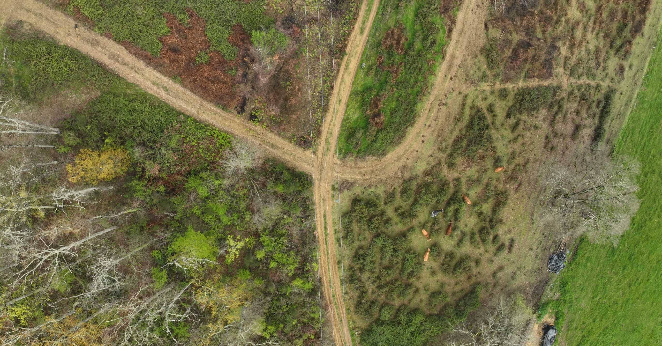 Vue aérienne d'un tracé électrique inspecté par drone LiDAR dans les Pyrénées Mission LiDAR drone dans les Pyrénées pour l'analyse des emprises de lignes HTA et BT