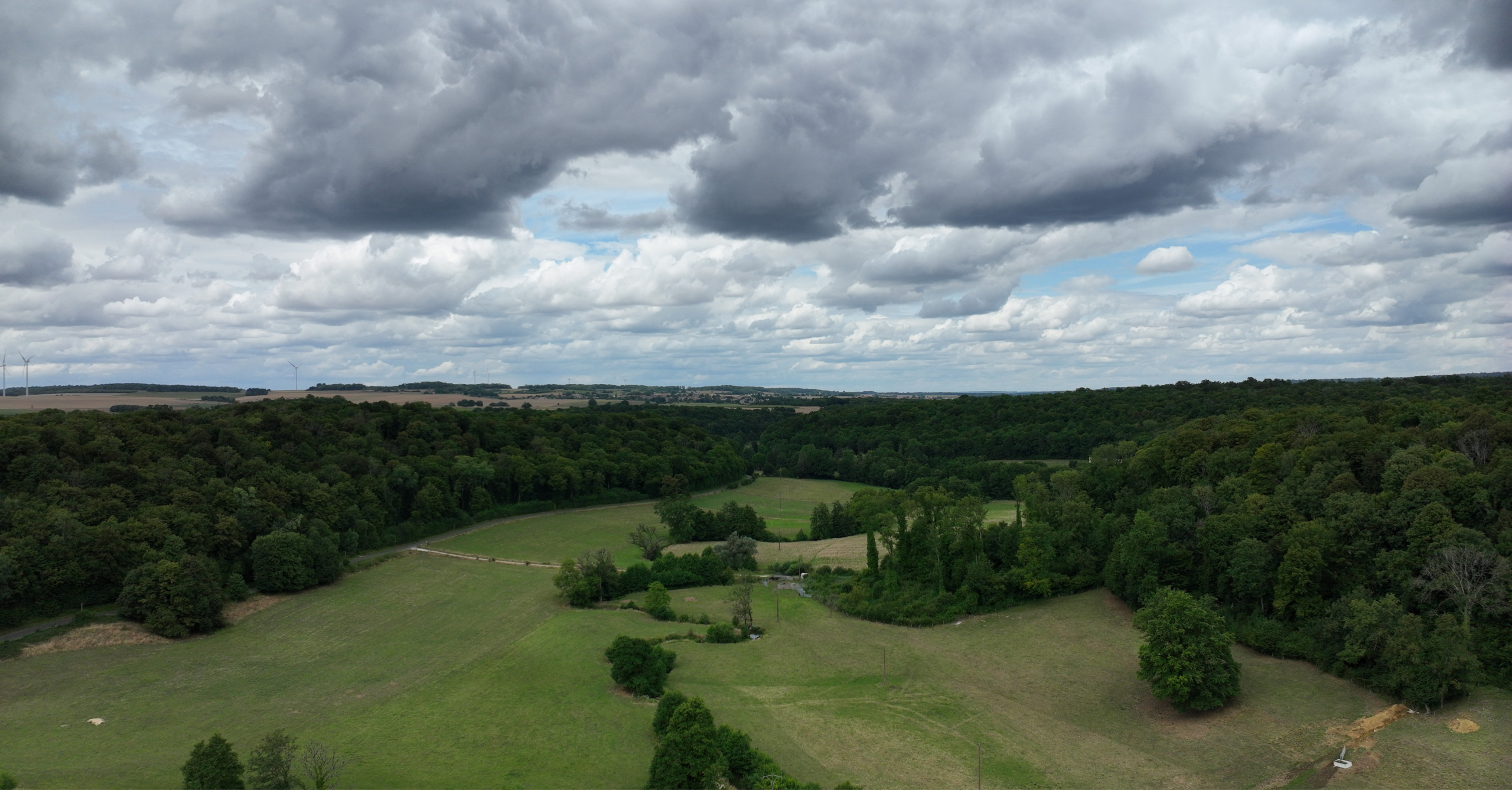 Mission drone LiDAR en Champagne Ardennes pour l'inventaire végétal Corridor végétalisé observé lors d'une mission drone LiDAR en Champagne Ardennes