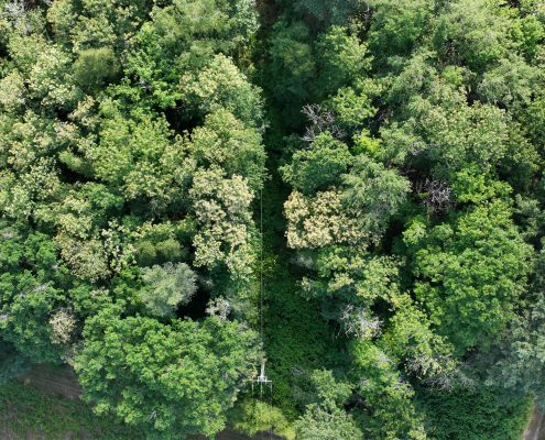 Mission drone LiDAR en Centre Val de Loire pour l'étude de la structure d'un massif forestier