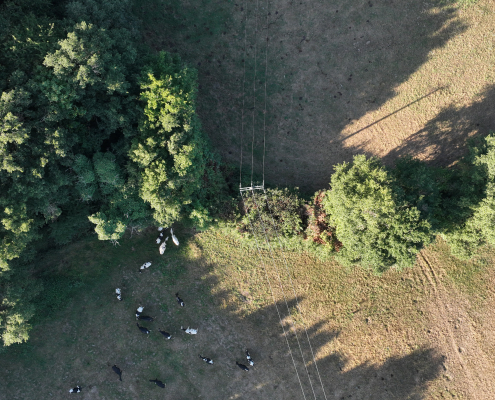 Mission LiDAR drone en Pays de la Loire avec cartographie de la végétation Mission LiDAR drone réalisée en Pays de la Loire pour l'analyse d'un corridor arboré