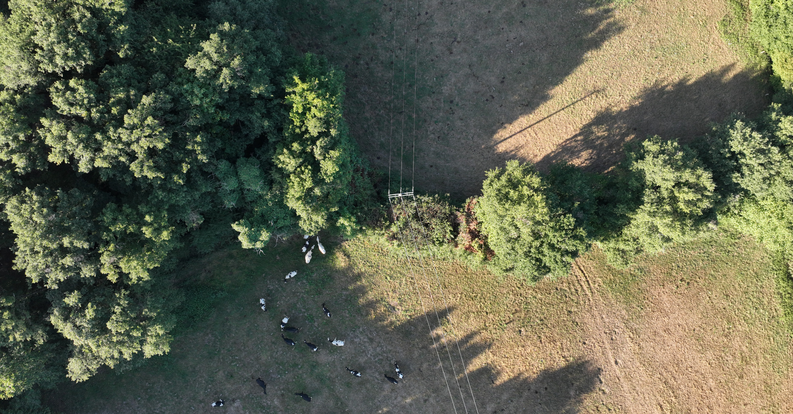 Mission LiDAR drone en Pays de la Loire avec cartographie de la végétation Mission LiDAR drone réalisée en Pays de la Loire pour l'analyse d'un corridor arboré