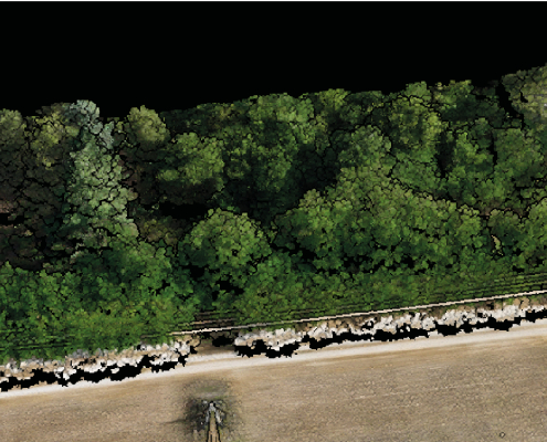 Mission drone LiDAR en Centre Val de Loire avec relevé topographique d'une zone boisée en bordure de terrain