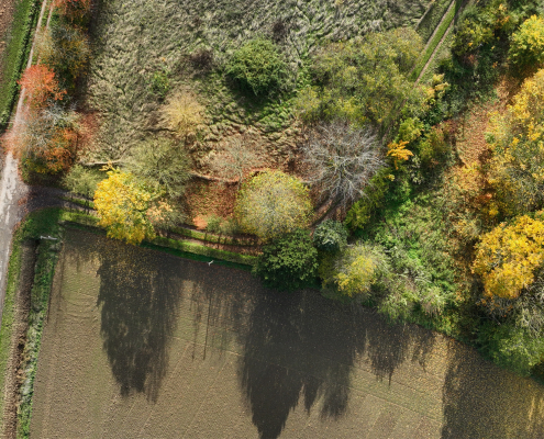 Visualisation tridimensionnelle issue d'une mission drone LiDAR Mission drone LiDAR dans le Nord Pas-de-Calais avec restitution 3D d'un couvert arboré