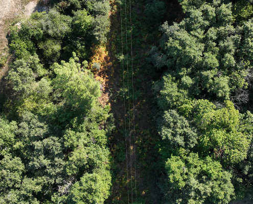 Numérisation lignes HTA et BT pour l'inspection d'un réseau électrique sous végétation Numérisation lignes HTA et BT par drone LiDAR dans une zone forestière des Pays de la Loire
