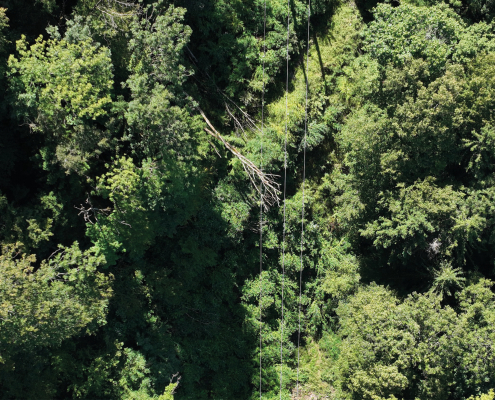Tracé de ligne électrique inspecté par drone LiDAR dans un environnement alpin boisé Mission drone LiDAR dans les Alpes pour le suivi des lignes électriques
