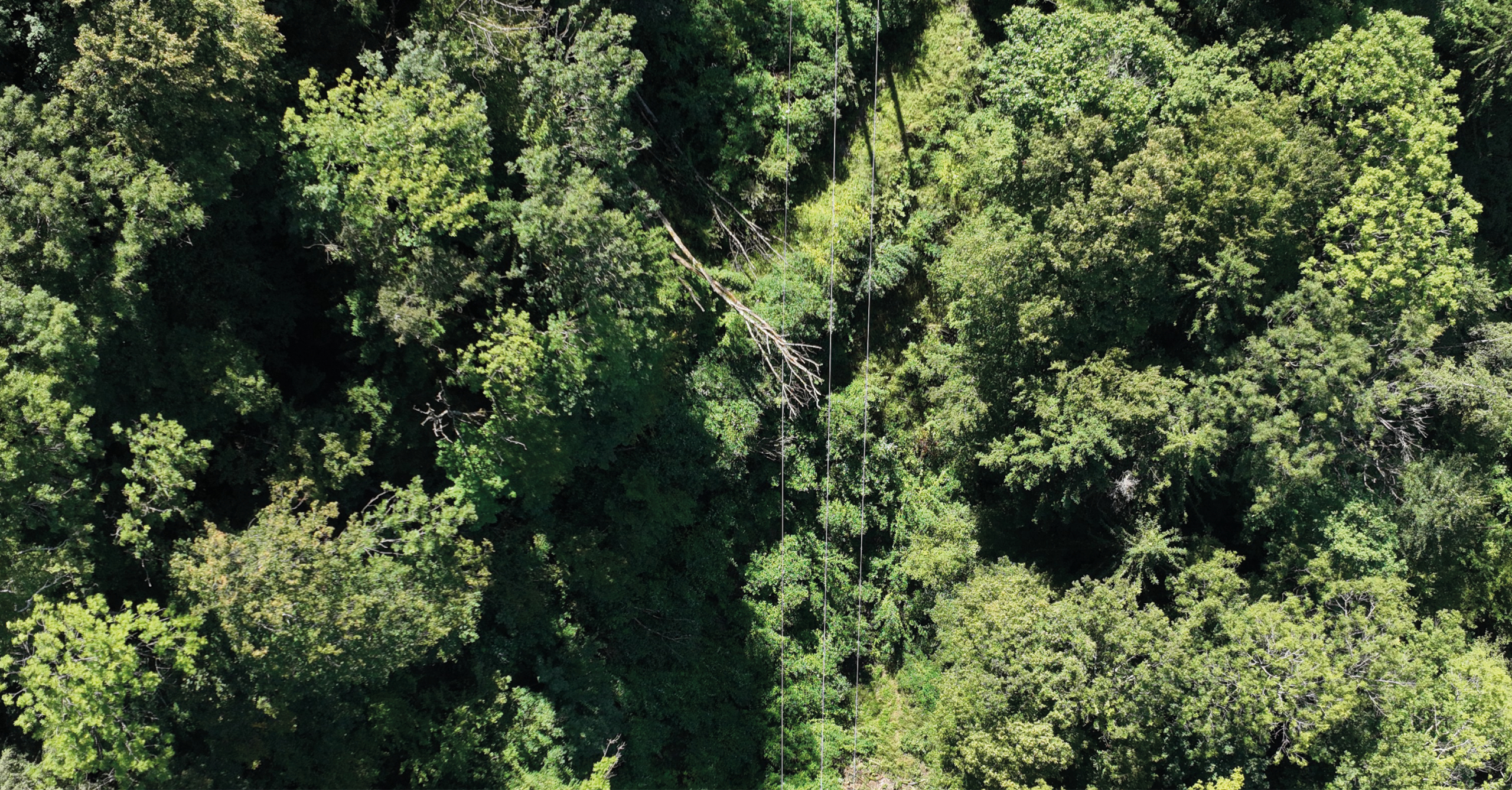 Tracé de ligne électrique inspecté par drone LiDAR dans un environnement alpin boisé Mission drone LiDAR dans les Alpes pour le suivi des lignes électriques