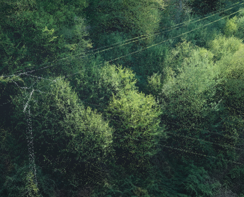 Mission drone LiDAR dans le Limousin sur une zone boisée Analyse d'une zone forestière réalisée grâce aux données d'une mission drone LiDAR dans le Limousin