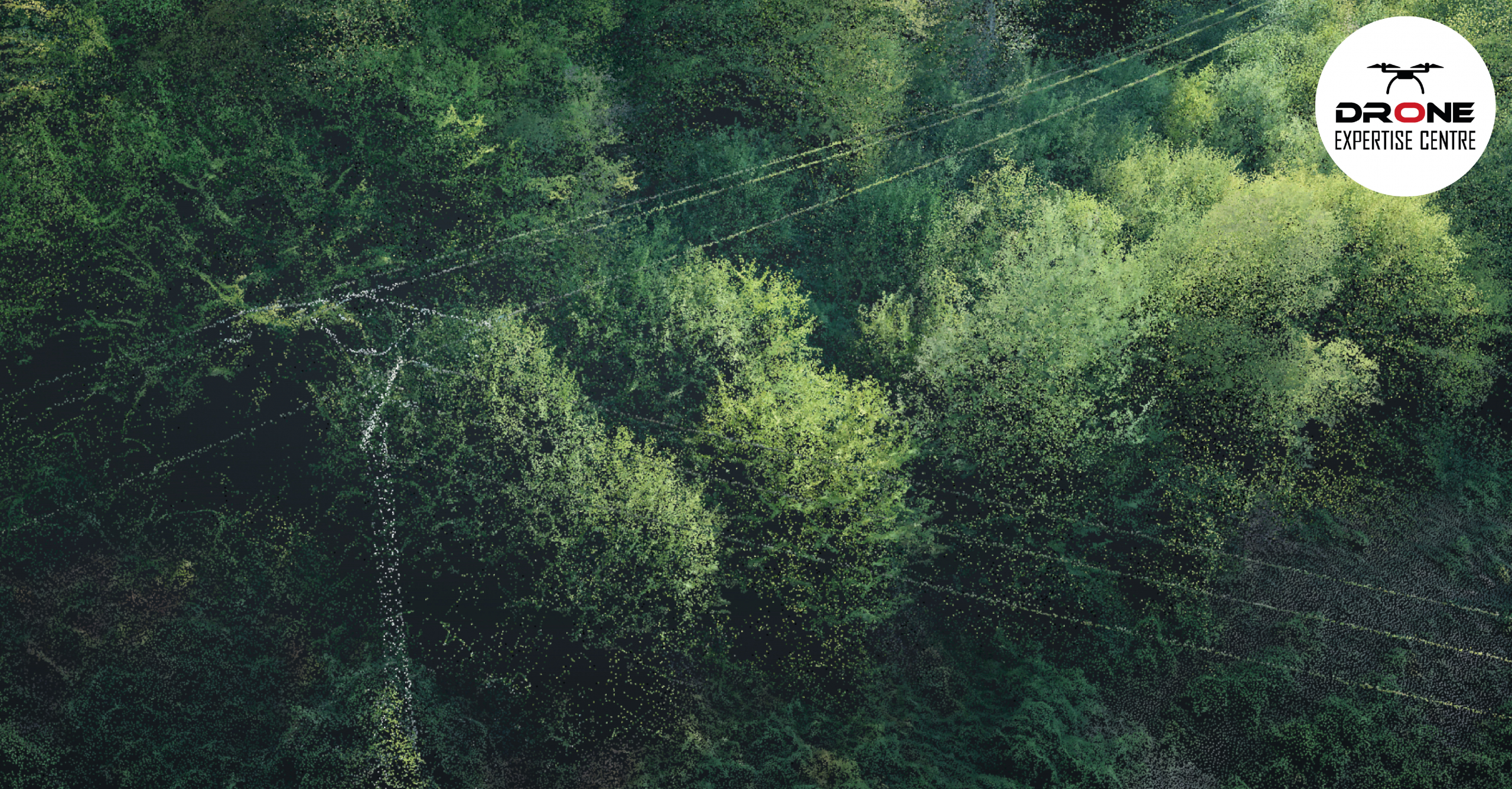 Mission drone LiDAR dans le Limousin sur une zone boisée Analyse d'une zone forestière réalisée grâce aux données d'une mission drone LiDAR dans le Limousin